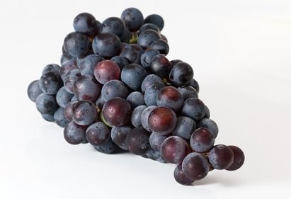 grapes-2151467__340